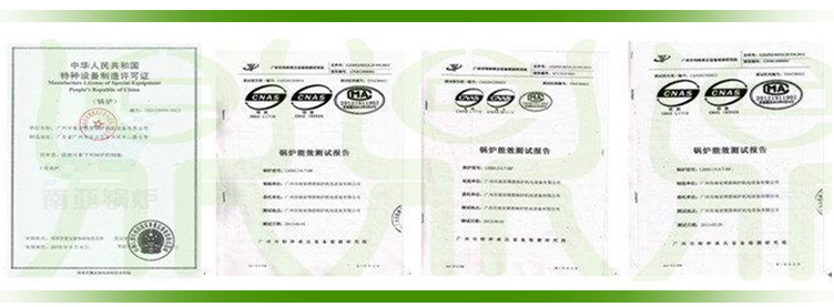 SZS200Q3燃?xì)馊加驼羝l(fā)生器詳情頁圖片