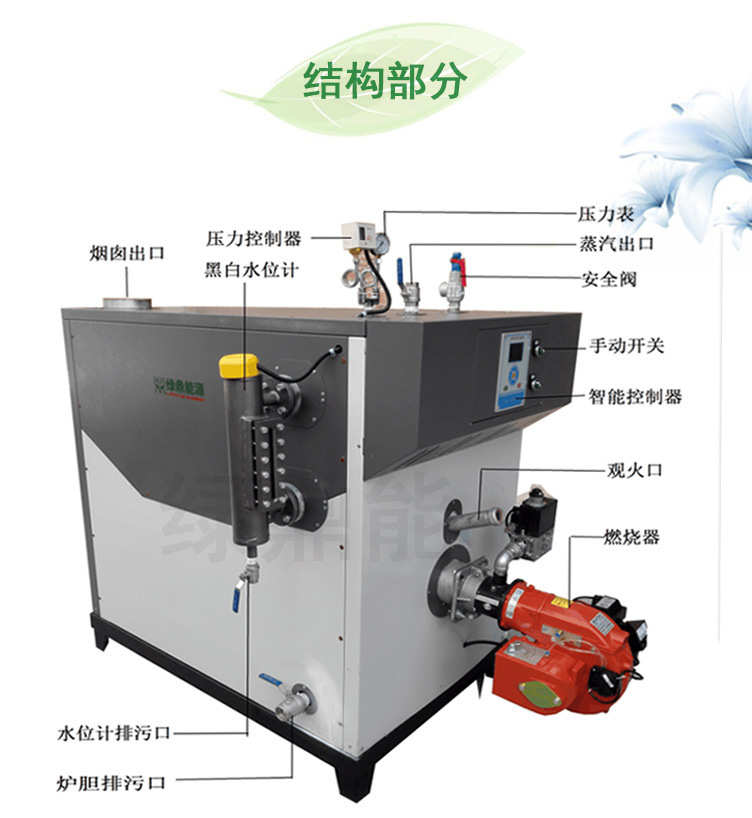 SZS200Q3燃?xì)馊加驼羝l(fā)生器詳情頁圖片